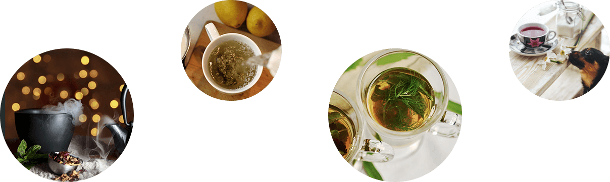 home_tea2_pic9 home_tea2_pic9